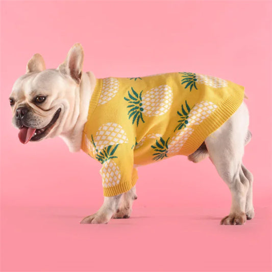Pineapple Charm Cozy Dog Sweater