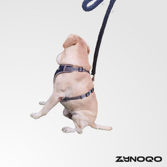 ZYNOQO Secure Fit Dog Vest