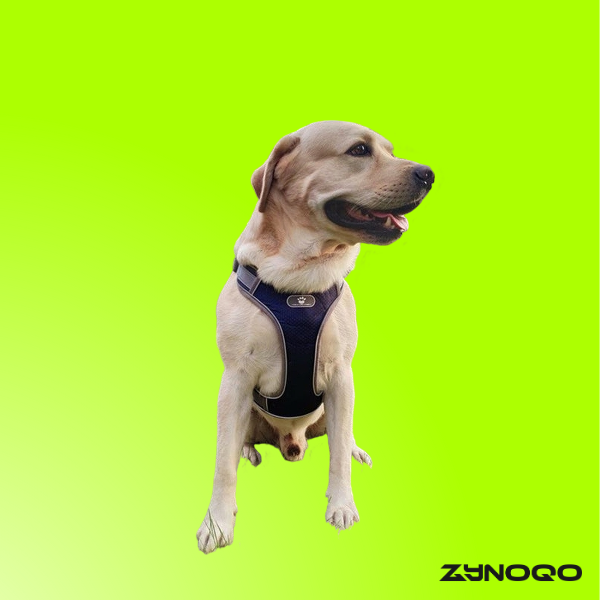 ZYNOQO Secure Fit Dog Vest