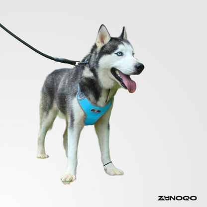 ZYNOQO Secure Fit Dog Vest