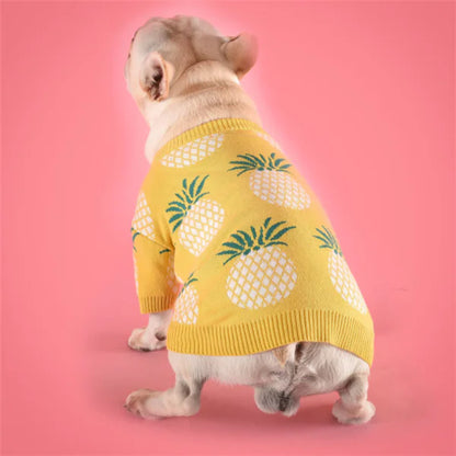 Pineapple Charm Cozy Dog Sweater