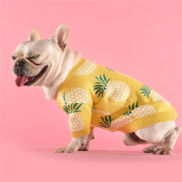 Pineapple Charm Cozy Dog Sweater