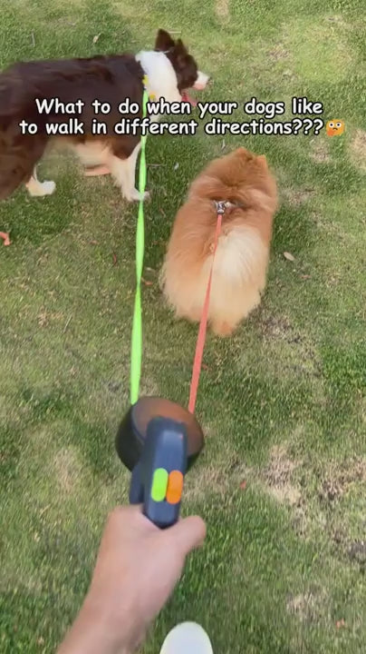 Walk 2 Dogs Tangle-Free with ZYNOQO Retractable Leash + Light
