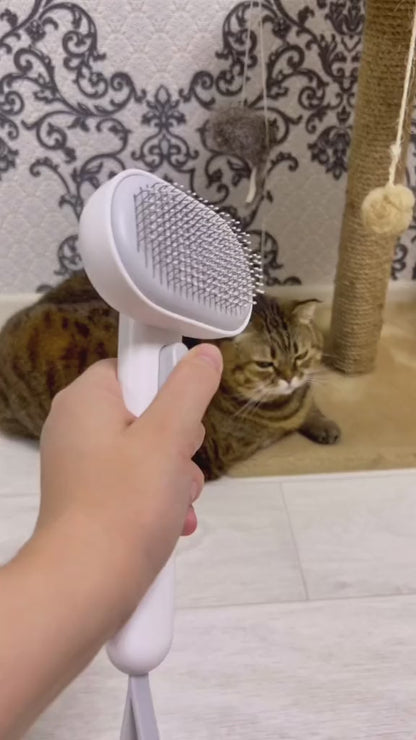 ZYNOQO Mist Comb – Brush + Spray for Cats & Dogs
