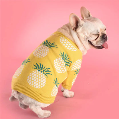 Pineapple Charm Cozy Dog Sweater