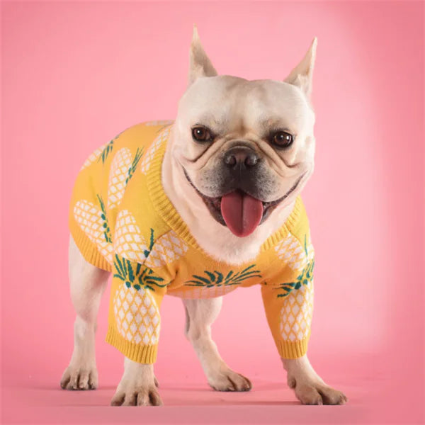Pineapple Charm Cozy Dog Sweater
